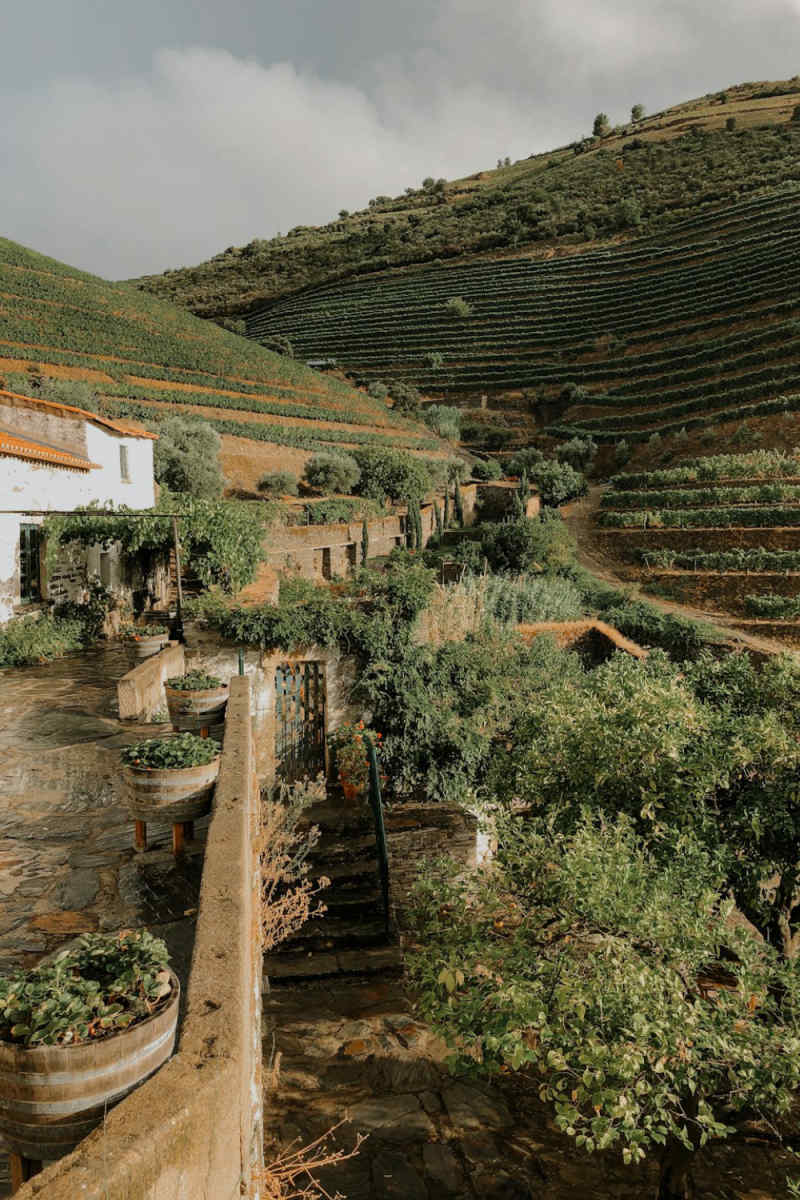 Wall Poster - Monastery in the Douro Valley