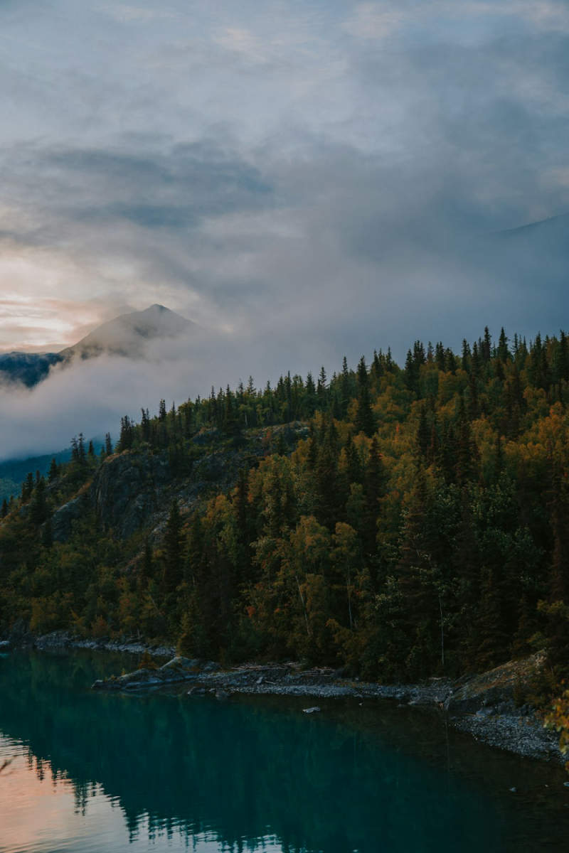 Wall Poster - Morning Mist in Alaska