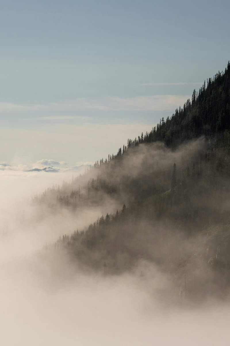 Wall Poster - Morning Mist in Banff