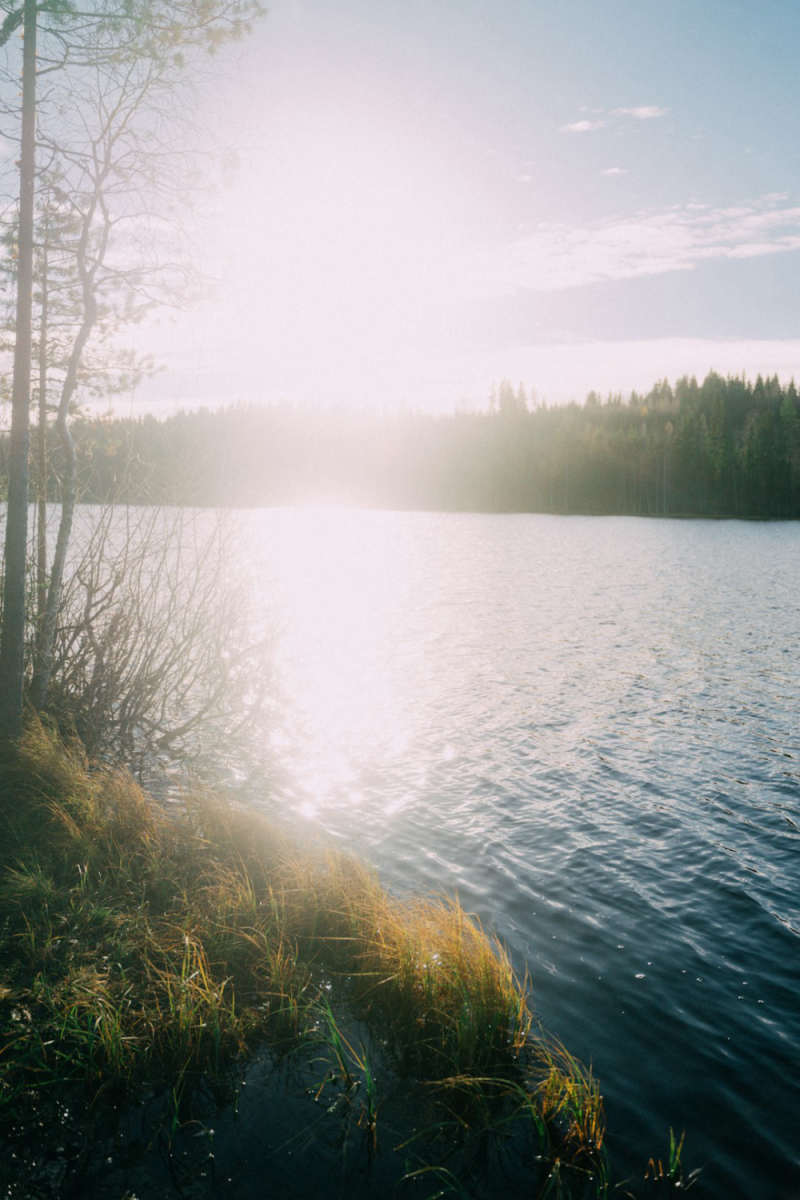 Wall Poster - Morning Mist in Finland