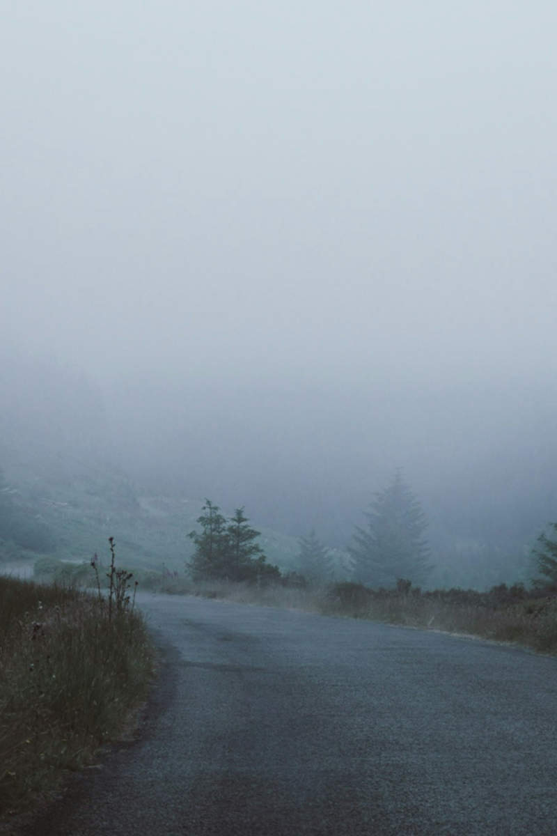 Wall Poster - Morning Mist in Ireland