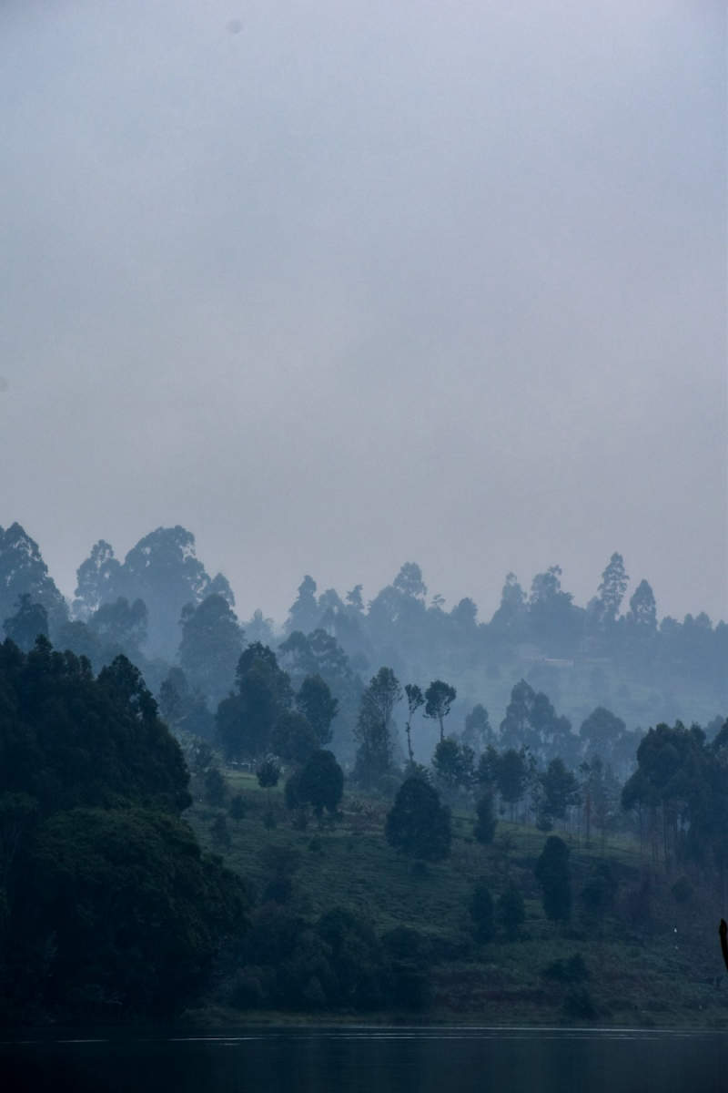 Wall Poster - Morning Mist in Kenya