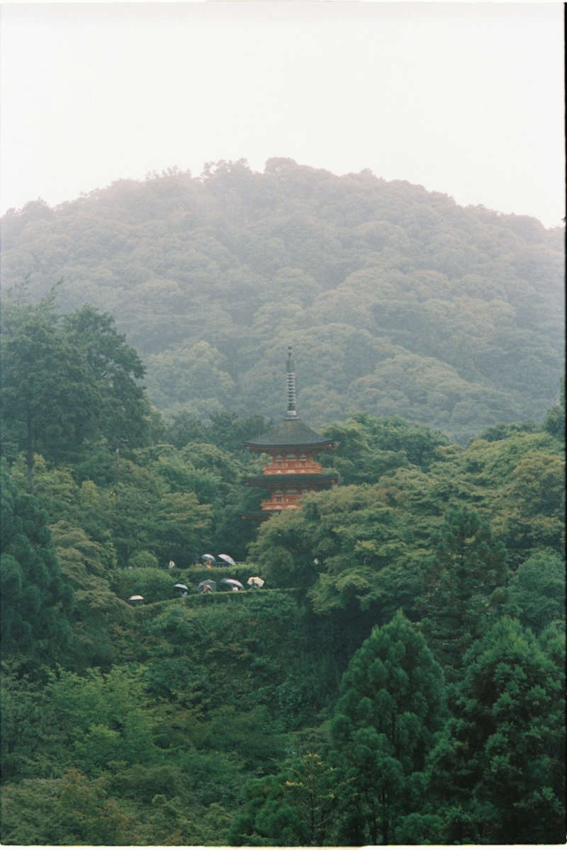 Wall Poster - Morning Mist in Kyoto