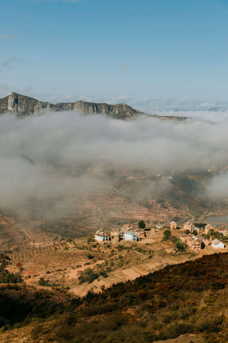 Wall Poster - Morning Mist in Madagascar