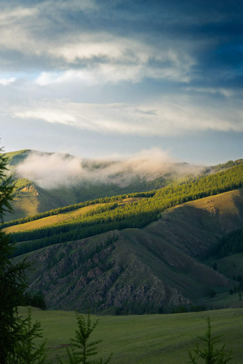 Wall Poster - Morning Mist in Mongolia