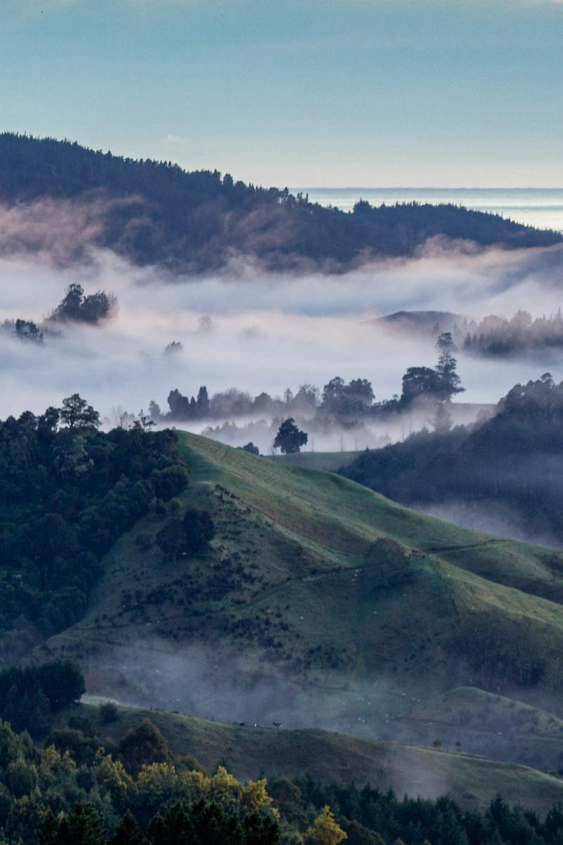 Wall Poster - Morning Mist in New Zealand