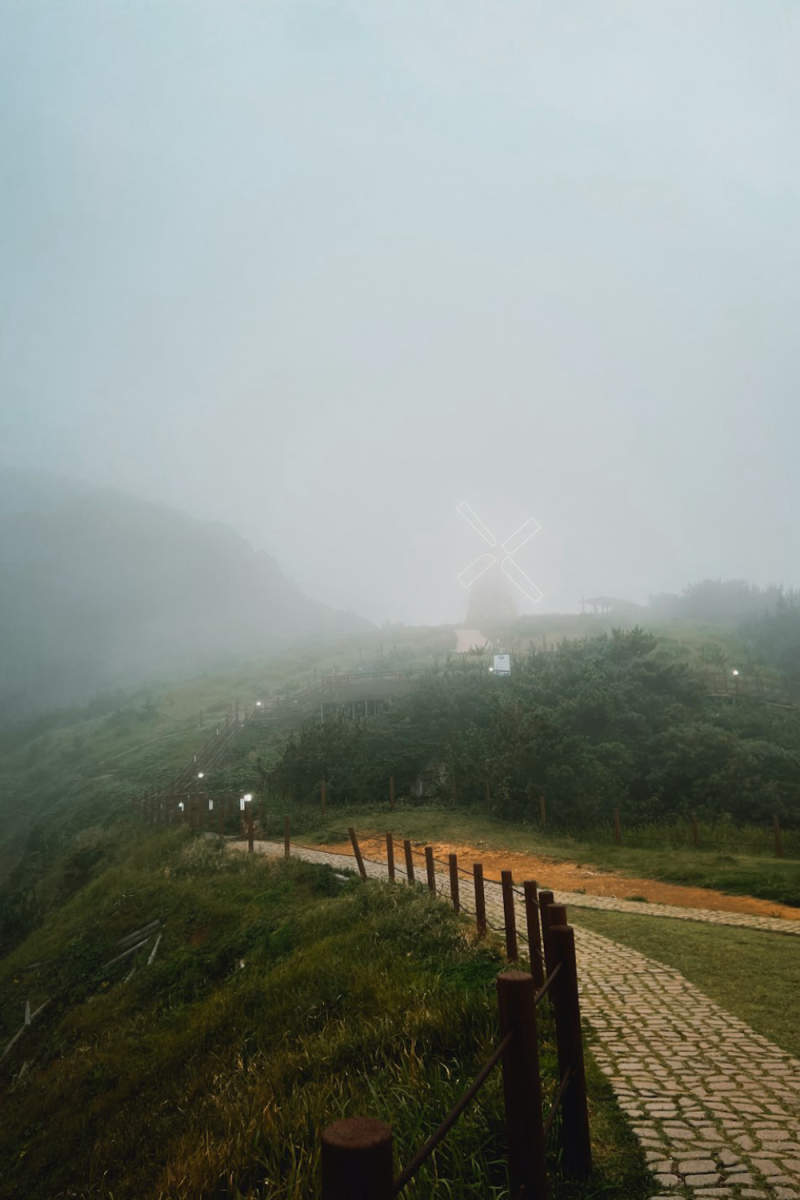 Wall Poster - Morning Mist in South Korea