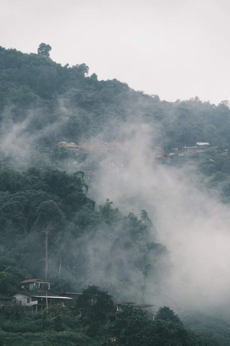Wall Poster - Morning Mist in Thailand