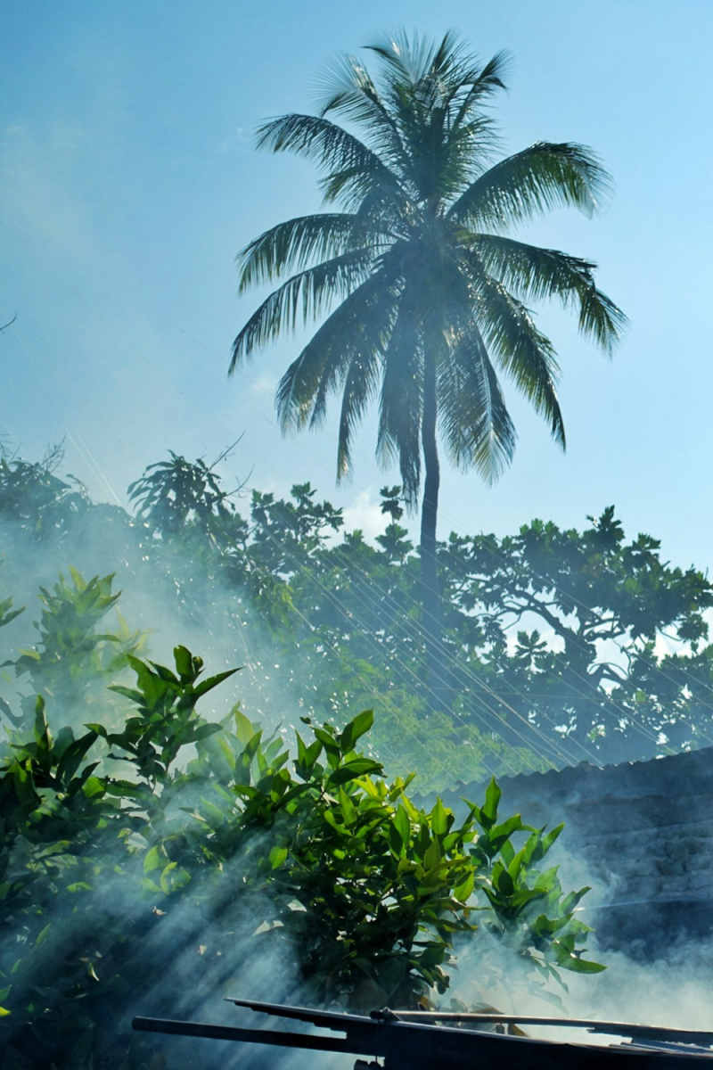 Wall Poster - Morning Mist in the Maldives
