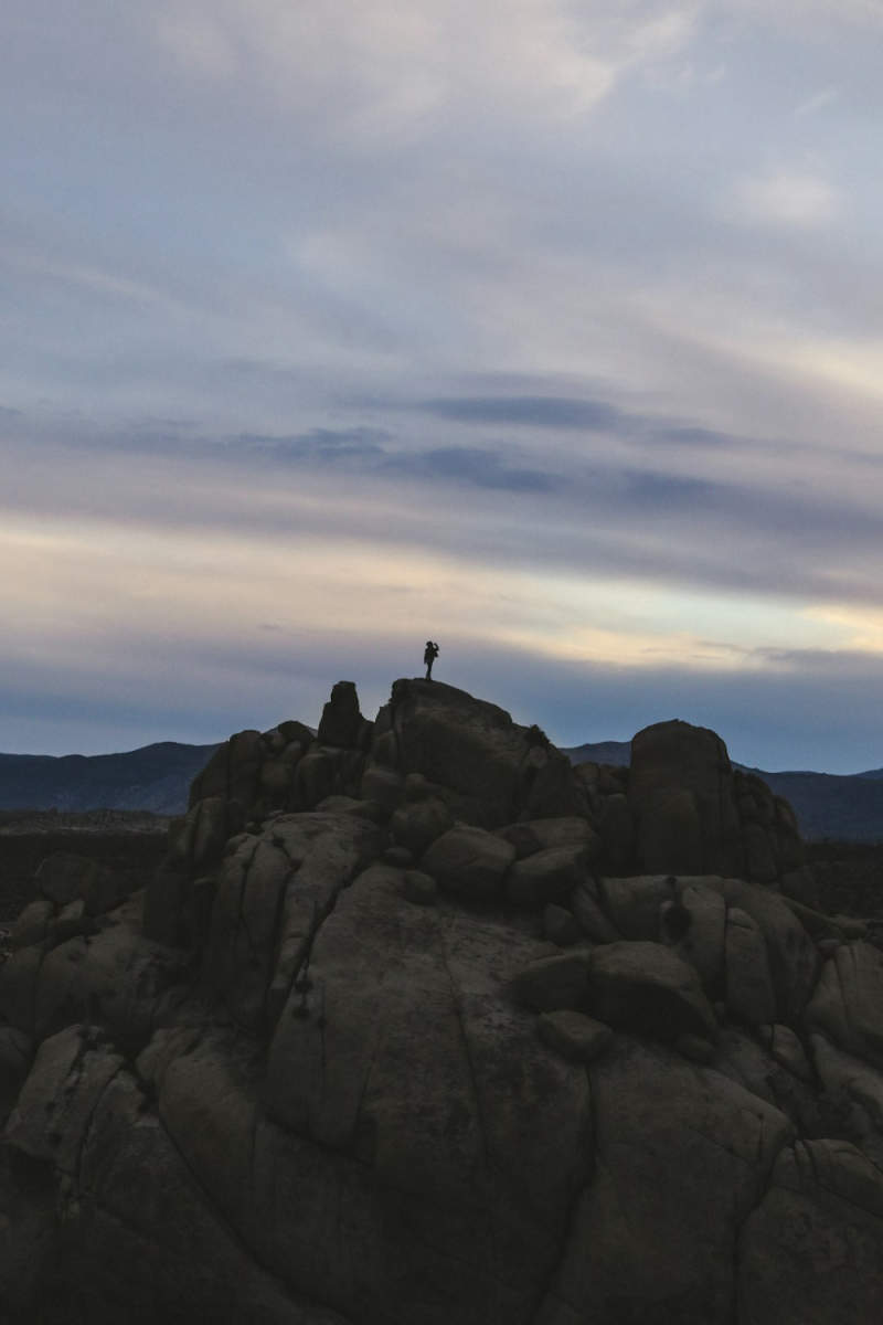 Wall Poster - Mountain Peak in Joshua Tree