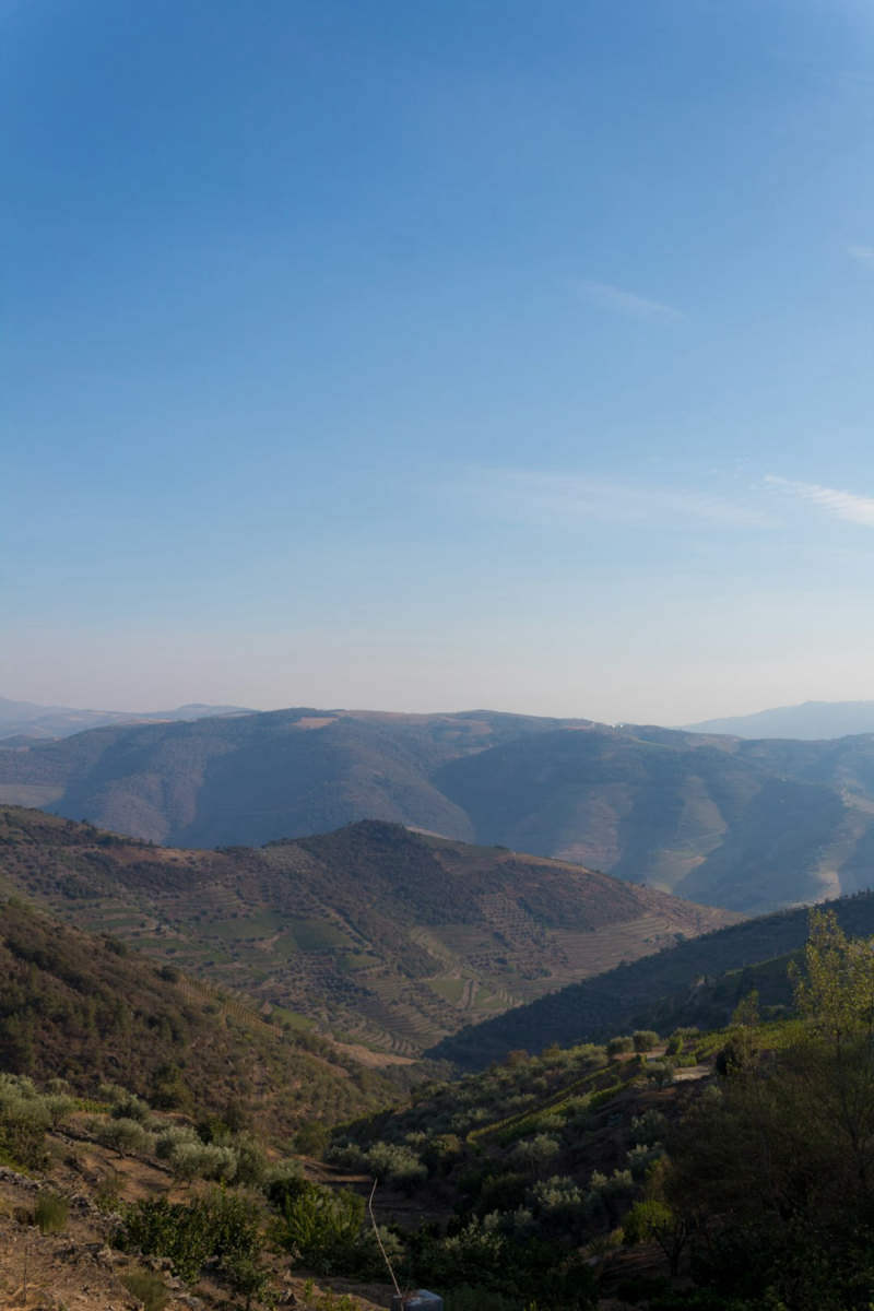 Wall Poster - Mountain Peak in the Douro Valley