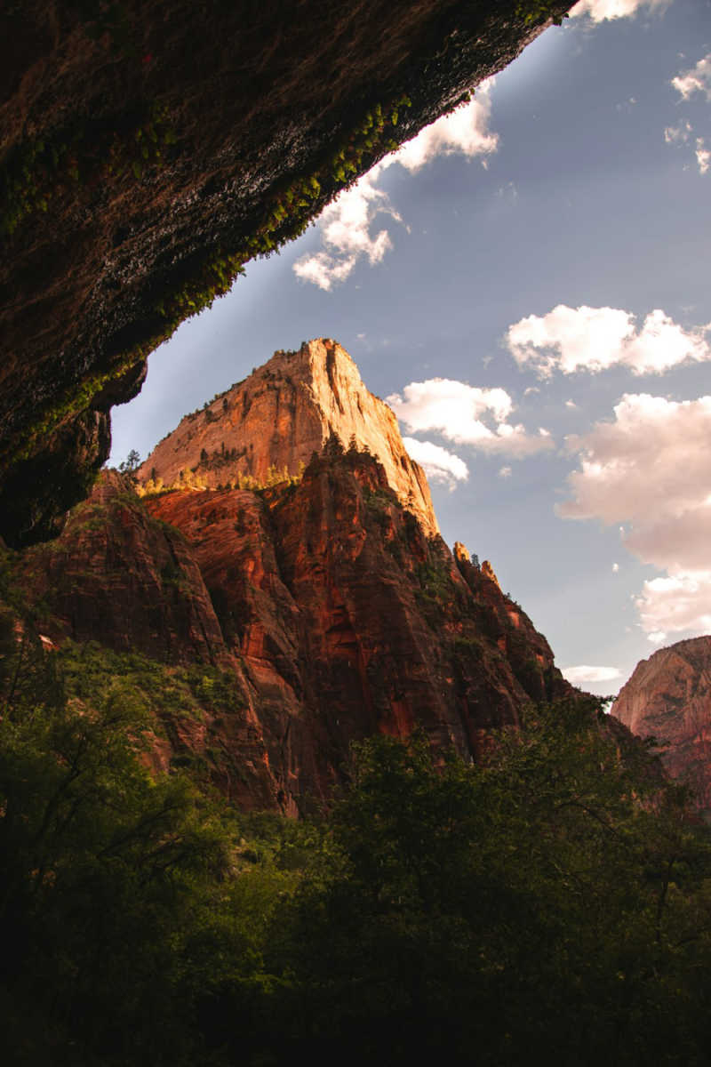 Wall Poster - Mountain Peak in Zion National Park