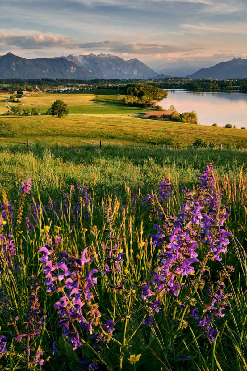 Wall Poster - Mountain Range in Bavaria