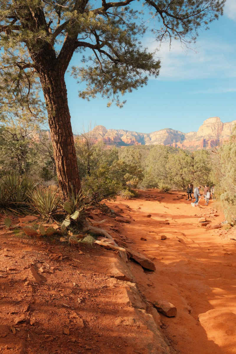 Wall Poster - Mountain Range in Sedona