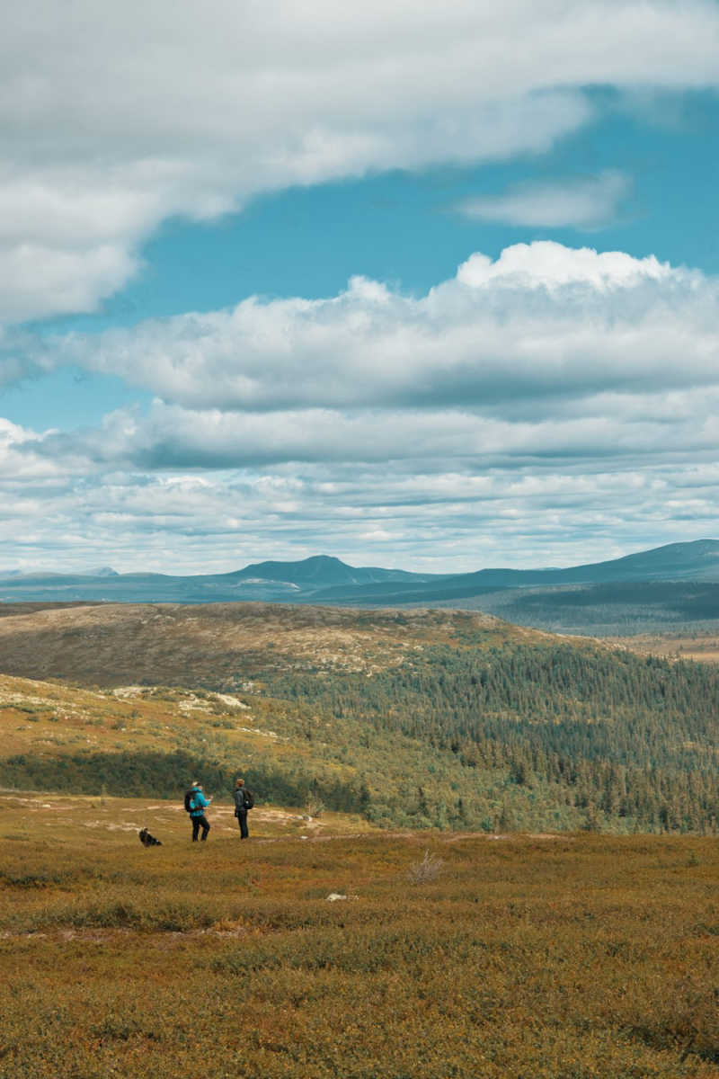Wall Poster - Mountain Range in Sweden