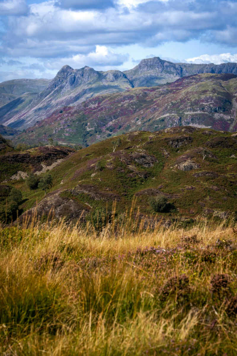 Wall Poster - Mountain Range in the Lake District