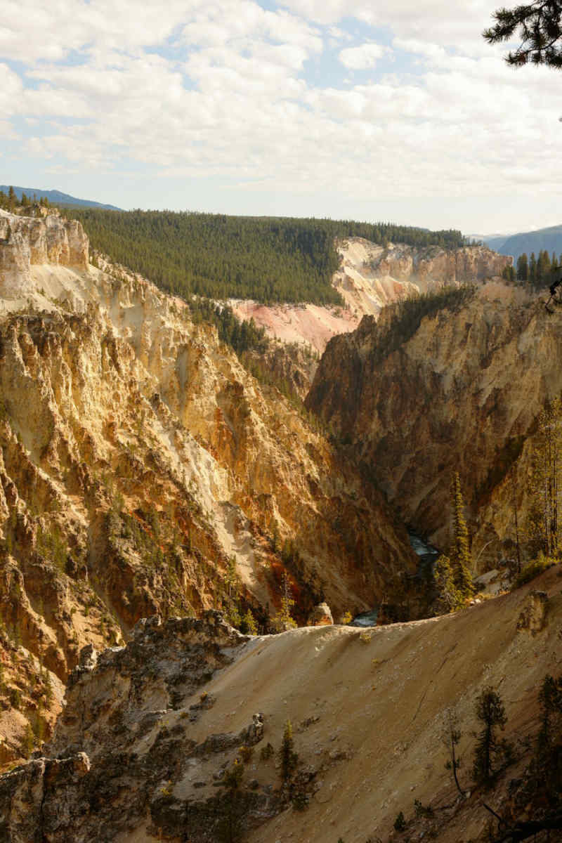 Wall Poster - Mountain Range in Yellowstone