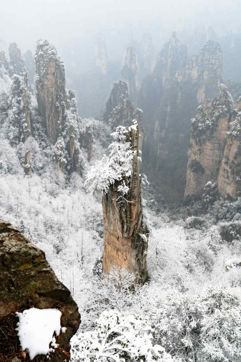 Wall Poster - Mountain Range in Zhangjiajie