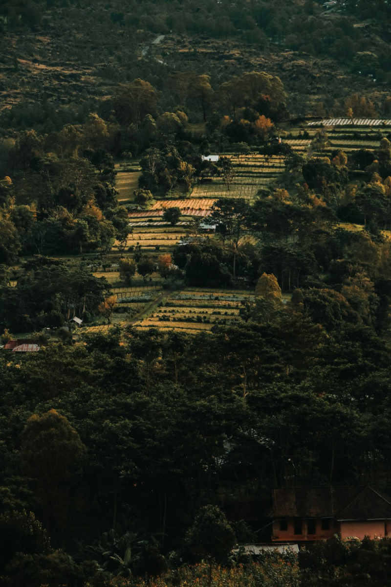 Wall Poster - Mountain Village in Bali