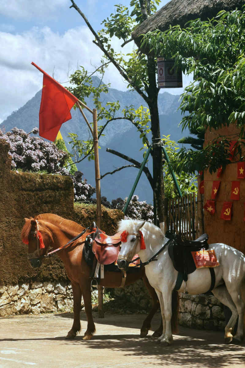 Wall Poster - Mountain Village in Vietnam
