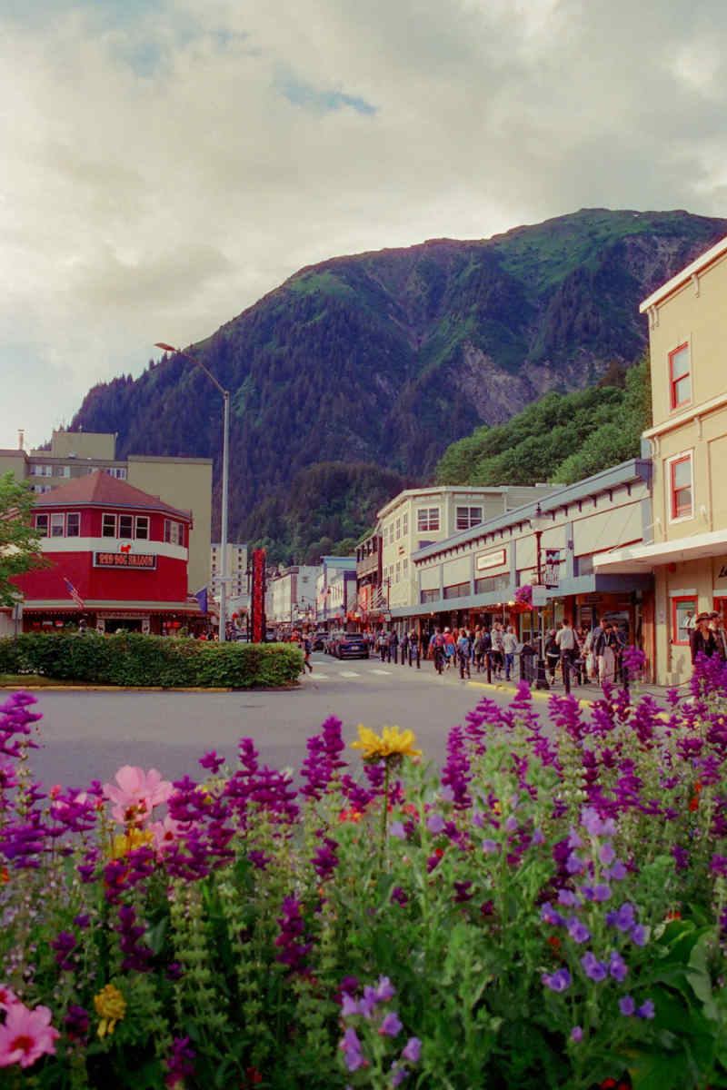 Wall Poster - Night Market in Alaska