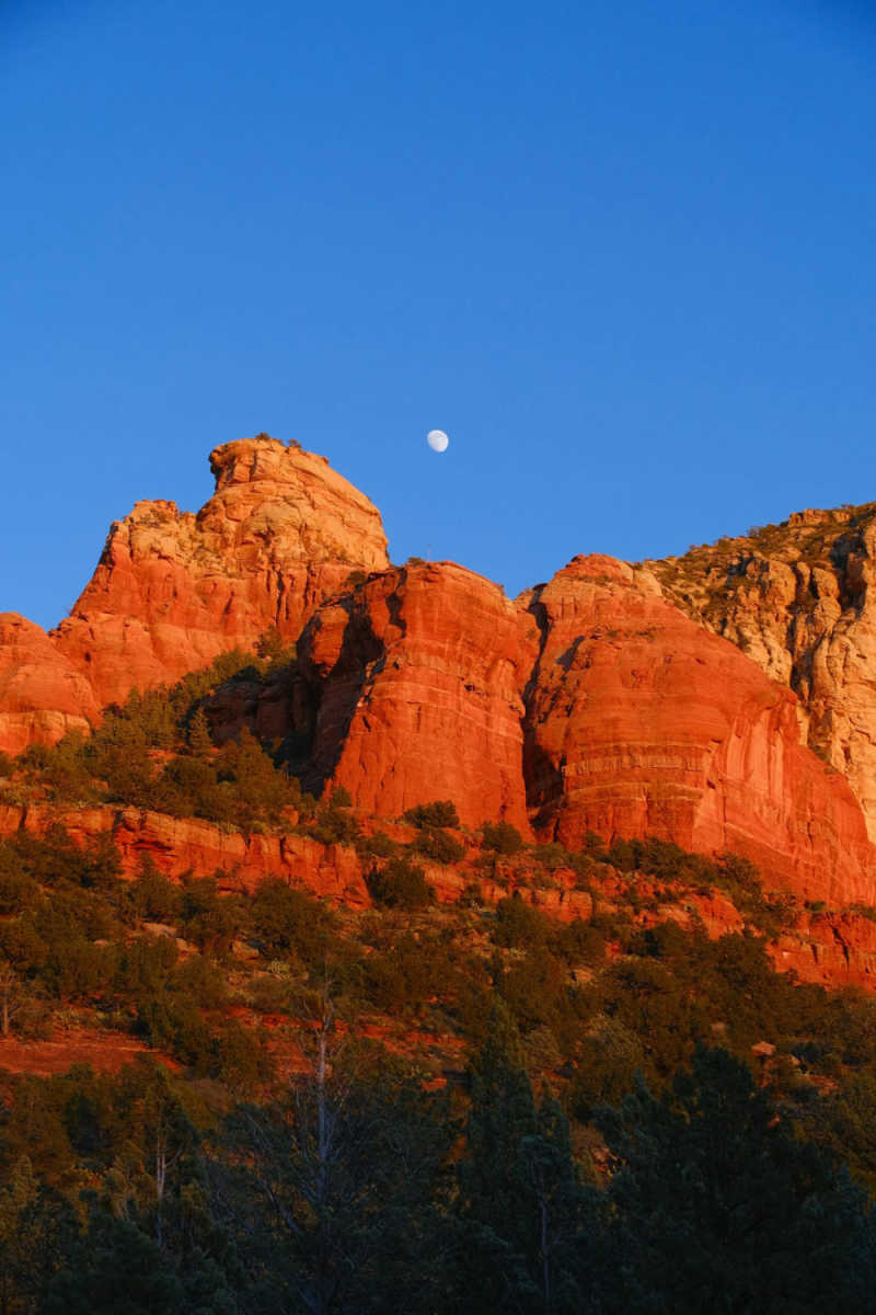 Wall Poster - Night Market in Sedona