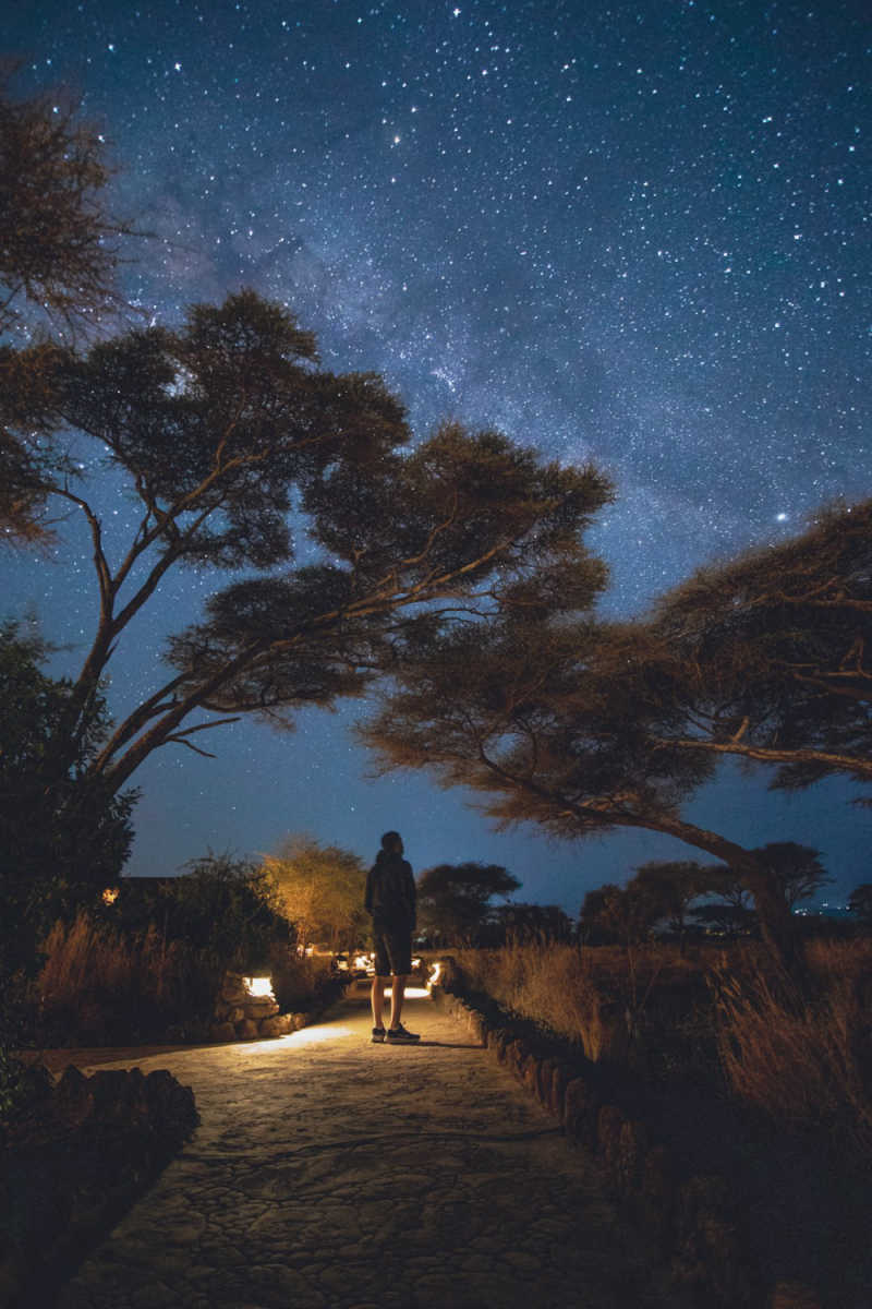 Wall Poster - Northern Lights in Kenya